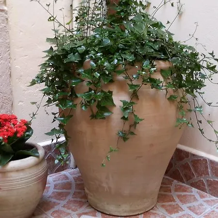 Διαμέρισμα Casa Bidduzza *