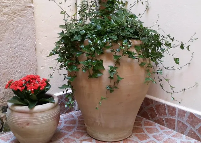 Daire Casa Bidduzza *